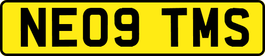NE09TMS