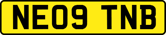 NE09TNB