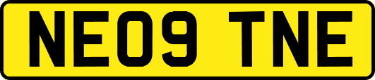 NE09TNE