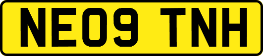 NE09TNH