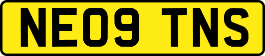 NE09TNS