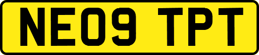 NE09TPT
