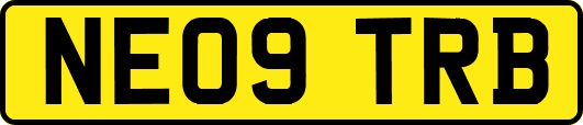 NE09TRB
