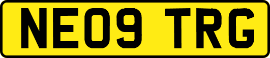 NE09TRG