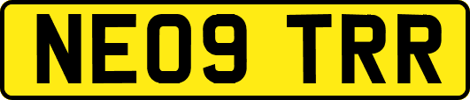 NE09TRR