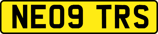 NE09TRS