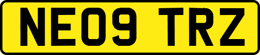 NE09TRZ