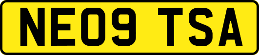 NE09TSA