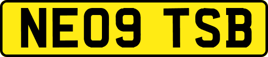 NE09TSB
