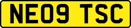 NE09TSC