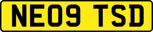 NE09TSD
