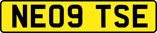 NE09TSE