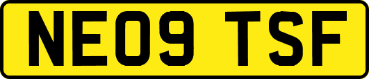 NE09TSF