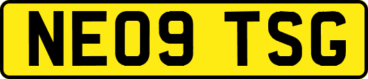 NE09TSG