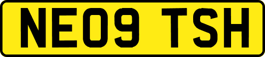 NE09TSH