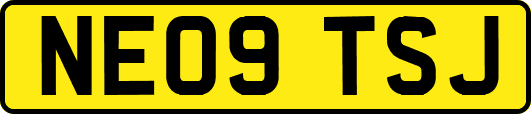 NE09TSJ