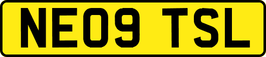 NE09TSL