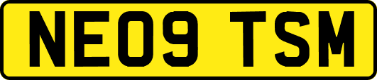 NE09TSM
