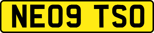 NE09TSO