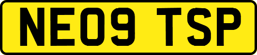NE09TSP