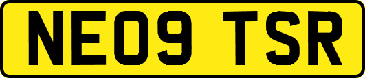 NE09TSR