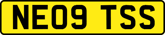 NE09TSS