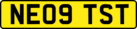 NE09TST