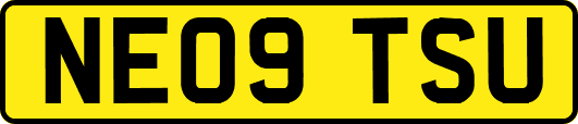 NE09TSU