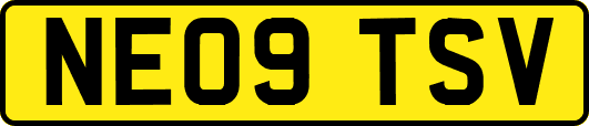 NE09TSV
