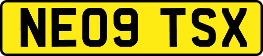 NE09TSX