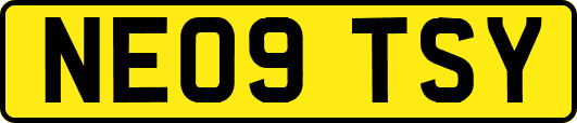 NE09TSY