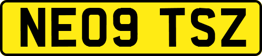 NE09TSZ