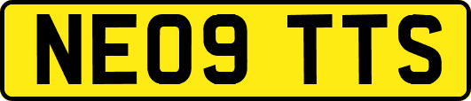 NE09TTS