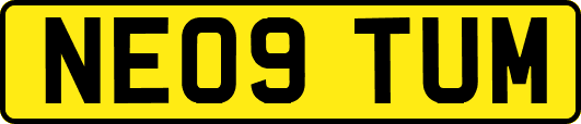 NE09TUM