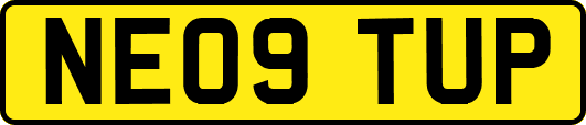 NE09TUP