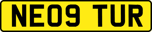 NE09TUR