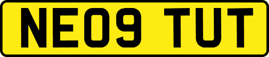 NE09TUT