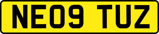 NE09TUZ