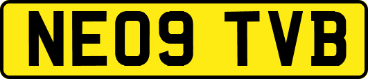 NE09TVB