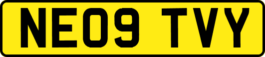 NE09TVY