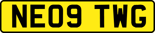 NE09TWG