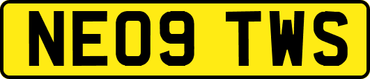NE09TWS