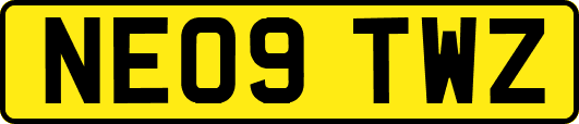 NE09TWZ