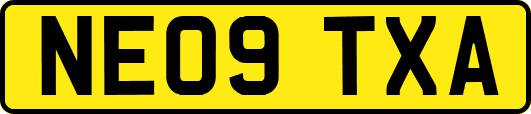 NE09TXA