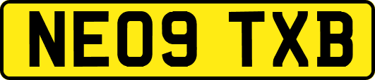 NE09TXB