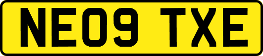 NE09TXE