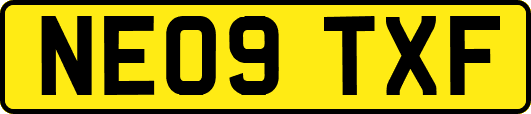 NE09TXF