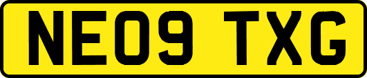 NE09TXG
