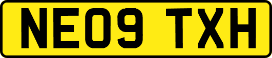 NE09TXH