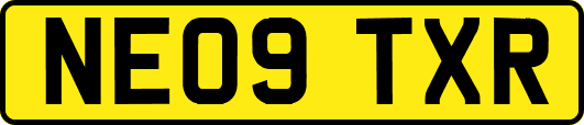 NE09TXR